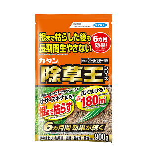 t}L[ J_ I[L[ 900g 4902424450088