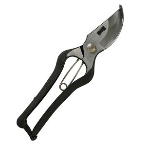 y[֑zg   ~ 225MM 4977292666275 | 