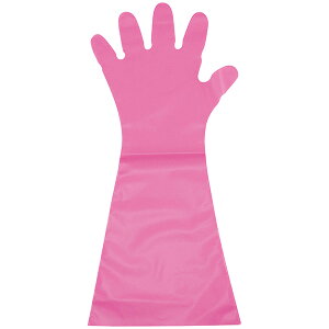 pbN G{X #50 O sNiܖ{ij50 M 45 1245910