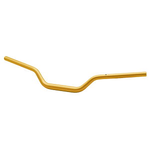 EFFEX�i�G�t�F�b�N�X�j EFFEX �C�[�W�[�t�B�b�g�o�[ �S�[���h GSX-S1000GT 22 EBTF550G
