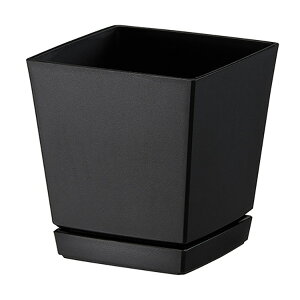 avX`bN NG`[|bg Mt5 0.8L ubN 4903266721671 |pi ƒ뉀|