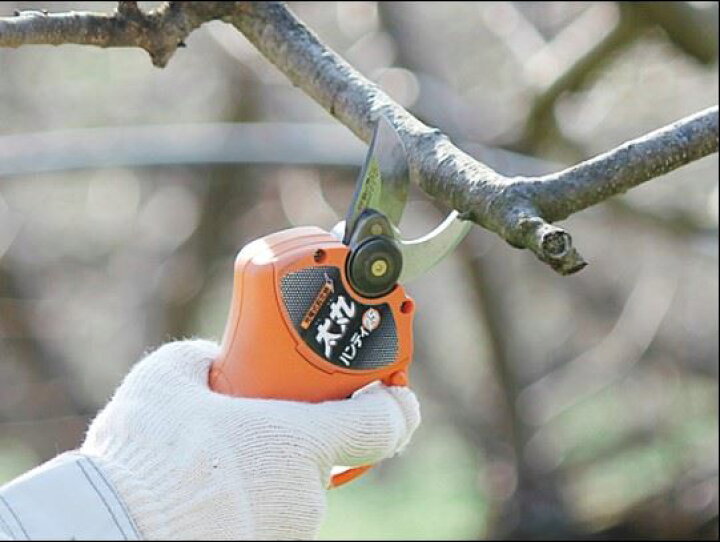 楽天市場】あす楽 ニシガキ工業:太丸ハンディ25 (バッテリー・充電器付き) N-928 ○超軽量コンパクト、充電式剪定鋏の決定版!○切断可能数:約25mm・・・・2,000本/約15mm・・・・6,000本○約0.2秒で25mm枝を切断! : イチネンネット 楽天市場】あす楽 ニシガキ工業:太丸ハンディ25 (バッテリー・充電器付き) N-928 ○超軽量コンパクト、充電式剪定鋏の決定版!○切断可能数:約25mm・・・・2,000本/約15mm・・・・6,000本○約0.2秒で25mm枝を切断! : イチネンネット