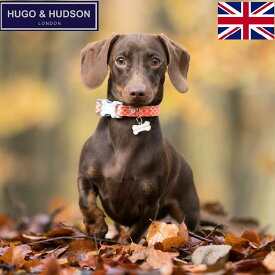＼本日 P5倍／ 犬 首輪 おしゃれ 【HUGO and HUDSON Fabric Collars】 イギリス 犬の首輪 小型 中型犬 大型犬 ギフト