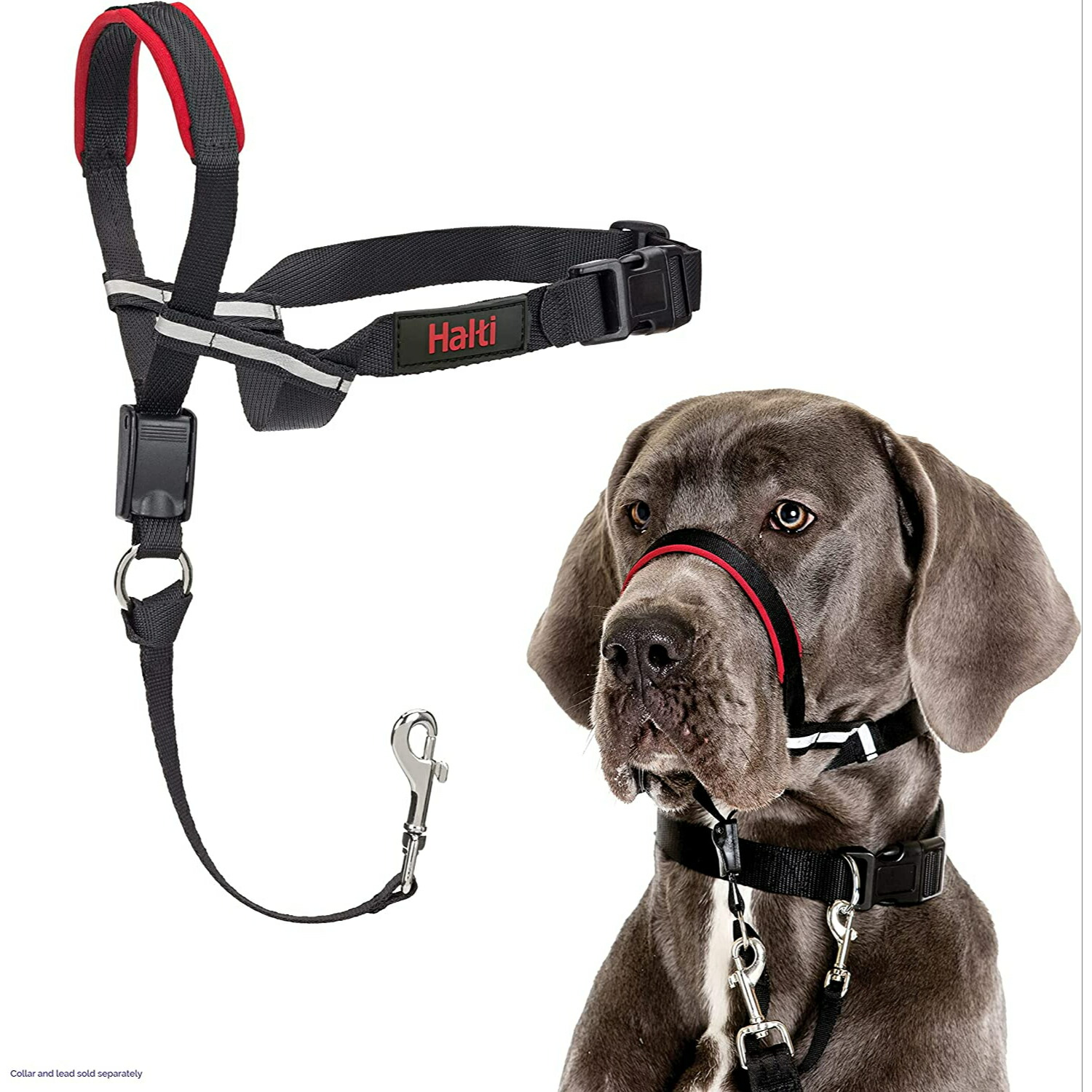 犬 引っ張り防止 ハルティ 首輪 しつけ 調整簡単 反射材小型犬 中型犬 大型犬 しつけ用品