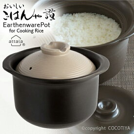 【送料無料】 炊飯土鍋 3合炊 おいしいごはんや讃 ご飯鍋 土鍋 炊飯鍋 3合炊き ごはん鍋