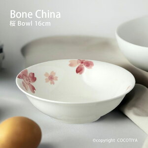 {[`Ci   [^{E 16cm T_{E JtFH Ɩp JtF XgH ɂH d