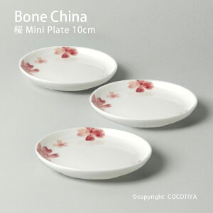 {[`Ci  ~jv[g 10cm M ɂH d   mH Ɩp JtF XgH