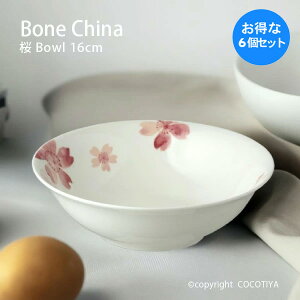 y1Zbg(6) w1(v6)z {[`Ci   [^{E 16cm T_{E JtFH Ɩp JtF XgH ɂH d ܂Ƃߔ Ƒ