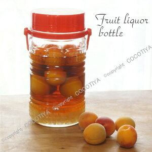 ɒЂY y KXۑe zʎт 傤 ~r t ۑe