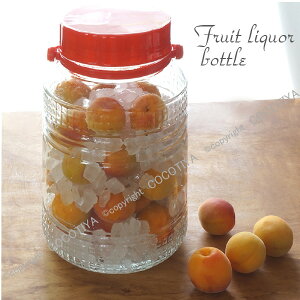 ~т 8bg y KXۑe z ʎт ~r t ۑe