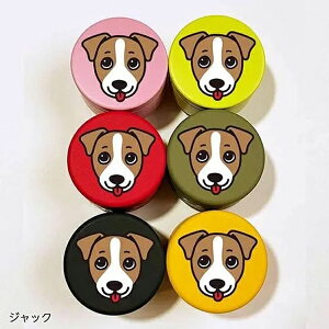 yDEOEGz fB[EI[EW[ @DOGv`ʃP[X@WbNbZeA@6F