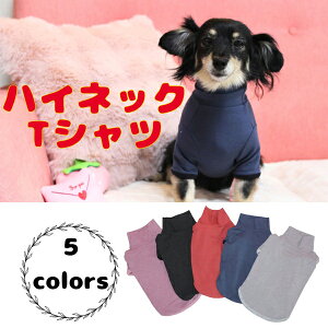 yCoo CouturezN[N`[ ewcEnClbNTVcy50051z(SSESEMELELLE3LESSTESTEMTELTTCY)