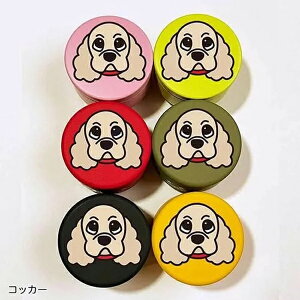 yDEOEGz fB[EI[EW[ @DOGv`ʃP[X@RbJ[EXpjG@26F