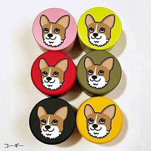 yDEOEGz fB[EI[EW[ @DOGv`ʃP[X@R[M[@6F