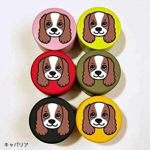 yDEOEGz fB[EI[EW[ @DOGv`ʃP[X@LoA@26F