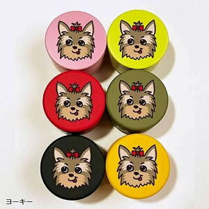 yDEOEGz fB[EI[EW[ @DOGv`ʃP[X@[NV[EeA@6F