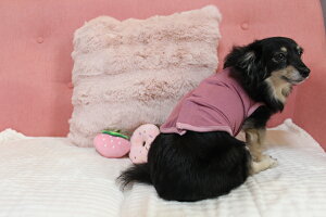 yCoo CouturezN[N`[@ewcExN^Ny50052z(SSESEMELELLE3LESTESTEMTELTEFBMEFBLEXLEJLESLTCY)