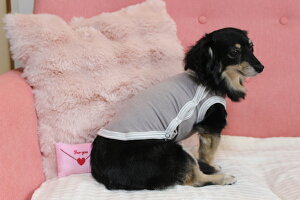 yCoo CouturezN[N`[ ewc ^NiTChJ^Cvj y50034z(XLEJLTCYj