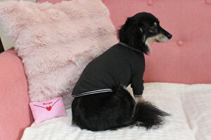 yCoo CouturezN[N`[ ewcEpTVc y50045zi3SESSESEMELELLE3LESTEMTELTEFBMEFBLEXLEJLESLTCYjVjA Nێ 