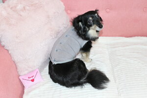 yCoo CouturezN[N`[ p[Xg[H̃Zs[EFAewcEwJ^Ny12015ziXLEJLESLTCYj