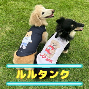 yIׂv[gtzJo[ ^N 12492 N[N`[ ewc Jo[  ⏕ p[Xg[H Jo[EFA H~ 킢 d˒ Z