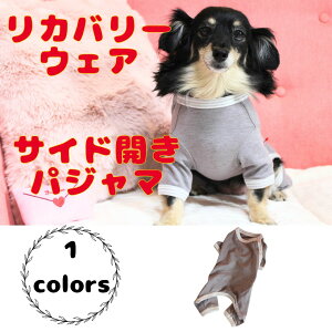 yIׂv[gtzJo[ pW}(TChJ^Cv) 50035 N[N`[ ewc Jo[ p㒅 ₷ VjA  { Jo[EFA d