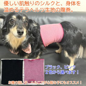 お腹 腰の血流促進 シルク腹巻 テラヘルツワン 7301 (S～LLサイズ) クークチュール Coo Couture 犬用 猫用 ヘルニア 腰痛 お腹が弱い 血流 ほぐす 温め 伸縮性 腹巻き 日本製 子犬 パピー犬 老犬 シニア犬 成犬 血行促進 寒がり はらまき