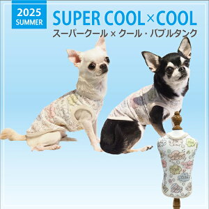 2025NĕEFAyCoo CouturezN[N`[ X[p[N[×N[ ou^Ny12475ziSSESEMELELLE3LESTEMTELTEFBMEFBLTCYj ĕ N[f ΍ o