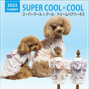 2025NĕEFAyCoo CouturezN[N`[ X[p[N[×N[ h[xAn[lXy7320ziSSESEMELELLE3LESTEMTELTTCYj n[lX ĕ N[f ΍ o 