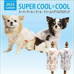 2025NĕEFAyCoo CouturezN[N`[ X[p[N[×N[ h[xAxN^Ny12481ziSSESEMELELLE3LESTEMTELTTCYj ĕ N[f ΍ o