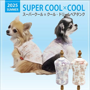 2025NĕEFAyCoo CouturezN[N`[ X[p[N[×N[ h[xA^Ny12469ziSSESEMELELLE3LESTEMTELTEFBMEFBLTCYj ĕ N[f ΍ o