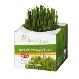 犬と猫が好きな草　栽培セット