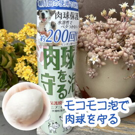 【楽天1位】 肉球を守る泡N（肉球保護フォーム） 保湿 肉球ケア 舐めても安心 ぷにぷに 肉球保護 シャンテ 犬 猫 水溶性泡タイプ
