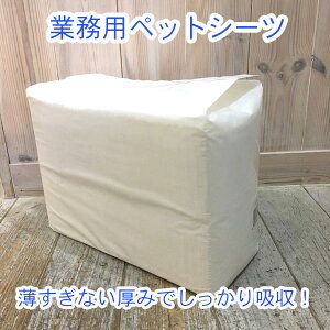 y1܂܂ŁzƖp^ybgV[c M[TCY100