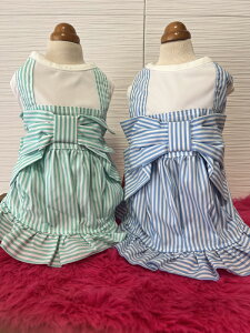 yʌz Z[iiւׁ̈Aő45OFFyGOD PIVAzSbhso XgCvo[siSMTCYj