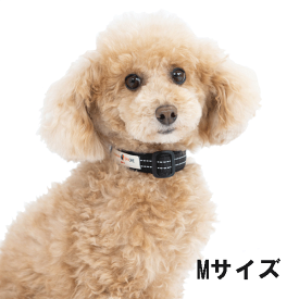 【楽天1位】 【ペタプラス】YORISOUカラー（犬用）【Mサイズ】
