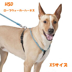 【H5D】 ロープウォーカーハーネス （XSサイズ）