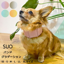 【楽天1位】【SUO 256 ICE for dogs】スオバンド　グラデーション（SS・S・M・L・LL・XLサイズ）＜全4色＞犬 熱中症予防 涼感 保冷 暑さ対策 冷却 クールダウン おしゃれ かわいい スオ suo