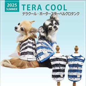 2025NĕEFAyCoo CouturezN[N`[ eN[E{[_[X^[xN^Ny12482ziSSESEMELELLE3LESTEMTELTTCYj ĕ N[f ΍ o hH UV