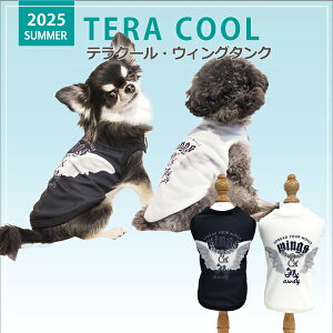 2025NĕEFAyCoo CouturezN[N`[ eN[EEBO^Ny12476ziSSESEMELELLE3LESTEMTELTEFBMEFBLEXLEJLESLTCYj ĕ N[f ΍ o h