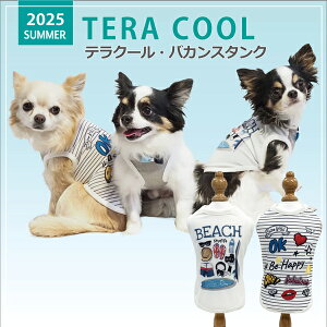 2025NĕEFAyCoo CouturezN[N`[ eN[EoJX^Ny12477ziSSESEMELELLE3LESTEMTELTEFBMEFBLETCYj ĕ N[f ΍ o hH UVJb