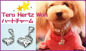 パワーストーン加工☆【Coo Couture】クークチュール テラヘルツワン ハートチャーム (犬用アクセサリー) 【8052】(Mサイズ)
