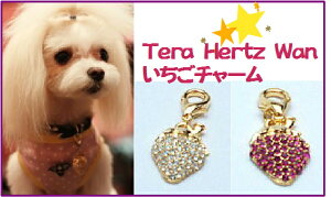 パワーストーン加工☆【Coo Couture】クークチュール テラヘルツワン いちごチャーム (犬用アクセサリー) 【8053】(Mサイズ)