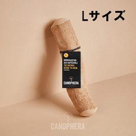 【CANOPHERA】キャノフィラ　デンタルチュースティック Lサイズ（犬用）