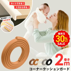 ڋ30OFF R[i[K[h NbV 炩 \tg 2[g 2M×6mm O  e[u  p S΍ Z[teB ObY Ԃ xr[ ܂藧 R[i[ aguard