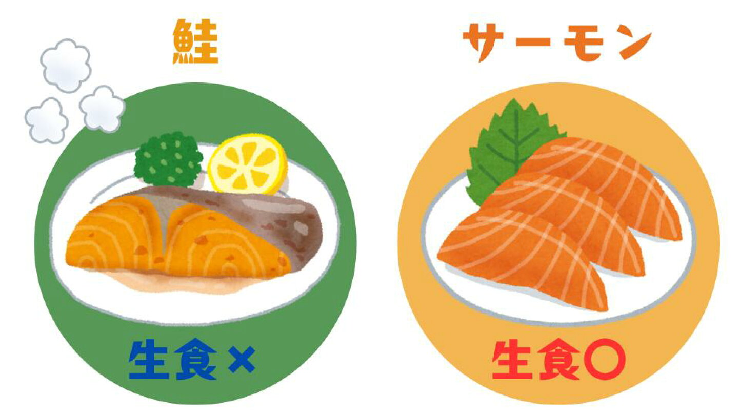 鮭 と サーモン の 違い