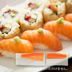 hg V[gC (2{) T[ ^X}jAT[  񂹃O CN hg IK3 e  v`ґ v~A 蕨 Mtg p[eB[ j  Ԃ 