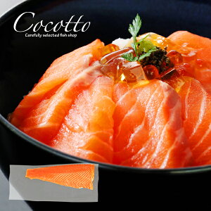 hg V[gC (1{) T[ ^X}jAT[  񂹃O CN hg IK3 e  v`ґ v~A 蕨 Mtg j j  Ԃ  