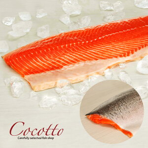 g 炠 tB[ (1) T[ ^X}jAT[  񂹃O hg hg e  v~A vH v 蕨 Mtg zj j j  