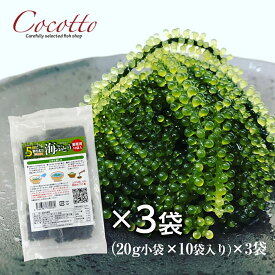 海ぶどう業務用（20g×10袋）3パック ベトナム産 お取り寄せグルメ 海鮮 長期保存可能 飲食店 塩造り 無農薬 沖縄料理 低カロリー 食材【楽ギフ_包装】【楽ギフ_のし】【冷蔵】